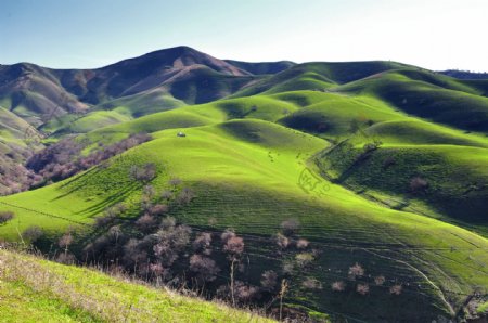 绿色山丘风景图片