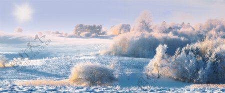 冬天自然风光摄影