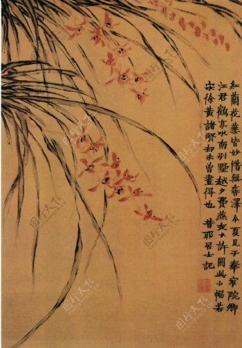 红兰花图花鸟画中国古画0475