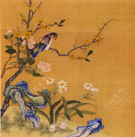 花鸟画中国古画传统国画02