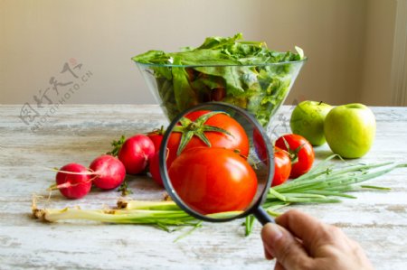 新鲜混合蔬菜图片