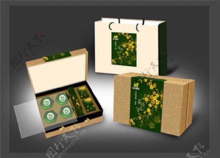 茶叶包装盒设计效果图PSD素材类包装设计