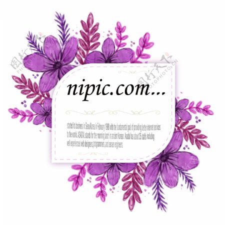 紫色水彩梅花矢量标签图片