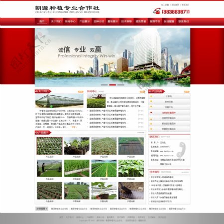 种植业网站设计