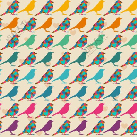 小鸟多彩彩色设计图片