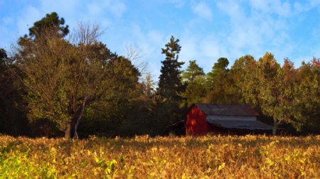 秋天草地房屋风景图片