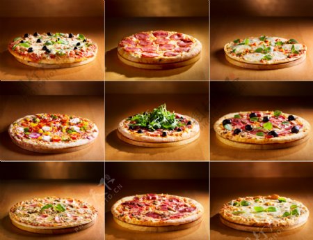 九个不一样的披萨图片