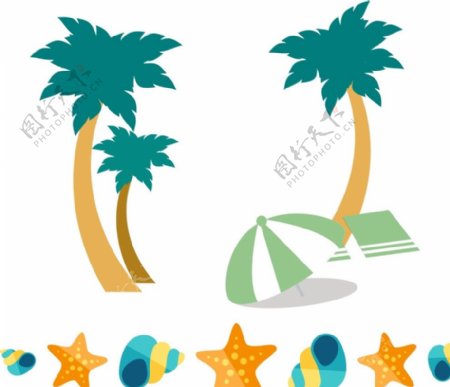 椰子树贝壳海五星图片