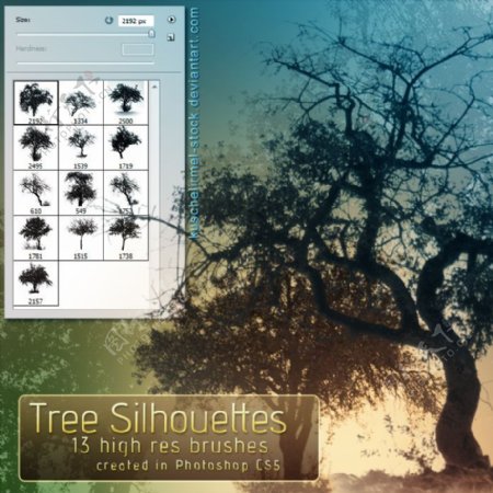 PhotoshopCS5专用树木剪影笔刷