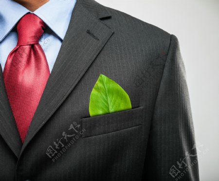 口袋放着叶子的职业人士图片