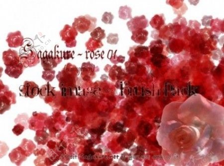 血色玫瑰花朵Photoshop鲜花笔刷