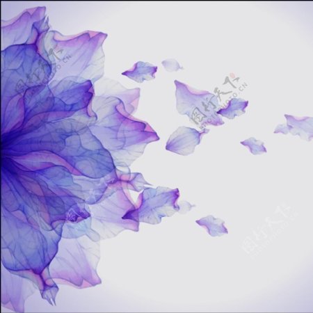 紫色花背景图矢量