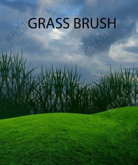 绿色草皮青草草坪草地PS笔刷