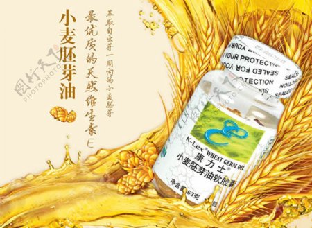 小麦胚芽油天然维生素E保健品海报设计