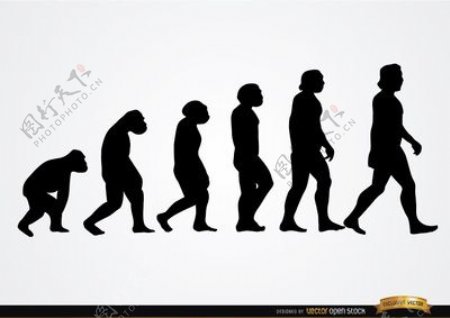 人类进化的轮廓