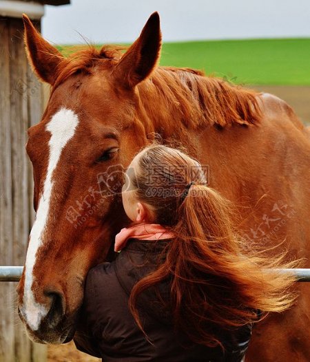 亲吻马的女子