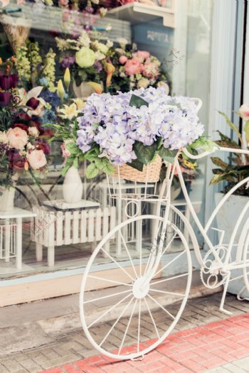自行车上的鲜花图片