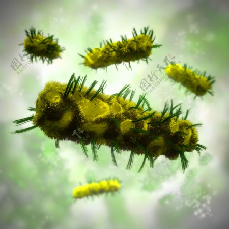 细菌微生物图片