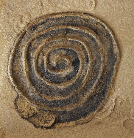 螺旋形的泥土