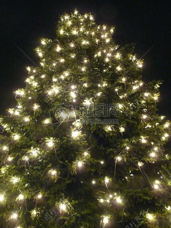 灯光闪烁的圣诞树