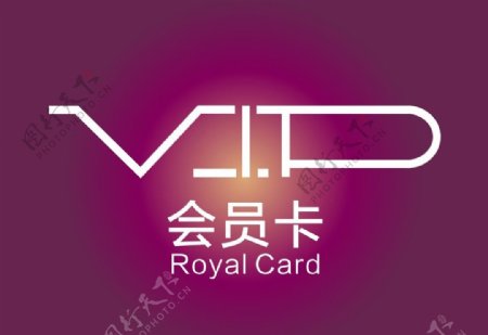 会员VIP卡字体设计