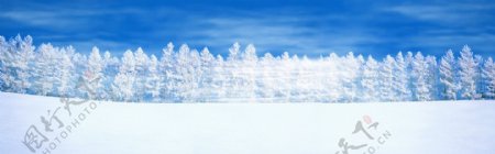 冬季雪树主题全屏背景素材12