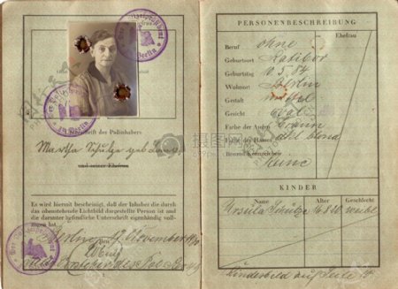 古老的护照图像