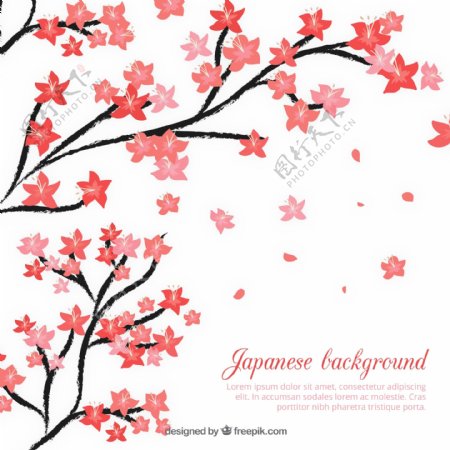 日本樱花背景素材