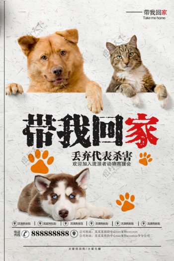 关爱流浪猫狗公益矢量宣传海报