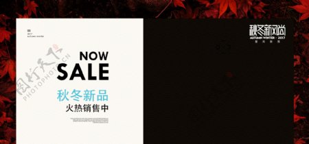 天猫淘宝秋冬新装新品黑色枫叶背景海报
