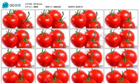 鲜艳番茄西红柿特写实拍蔬菜美食