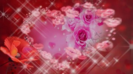 浪漫梦幻花朵动态背景视频素材
