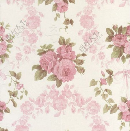 粉色玫瑰花壁纸墙纸背景图片