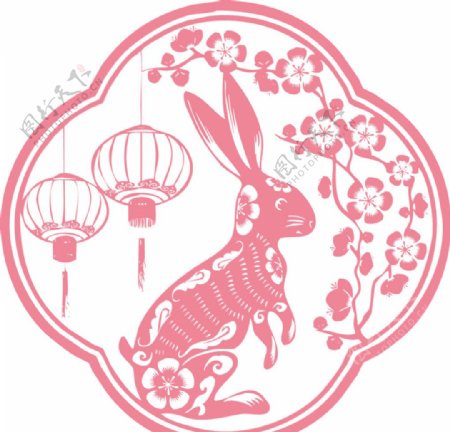 中国兔子