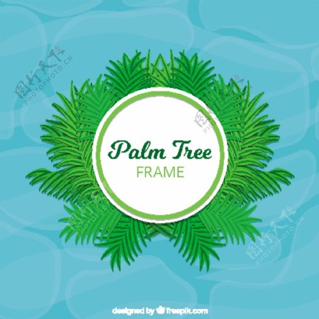 棕榈树框架设计