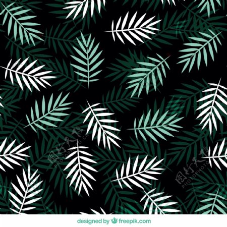 绿色和白色的棕榈叶的平面图形