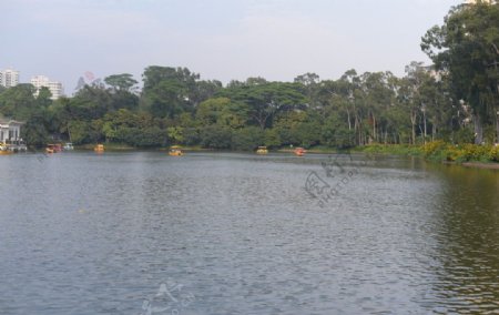 天河公园湖泊
