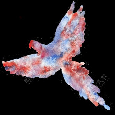 彩墨画雪花纹鸟类动物透明装饰图案