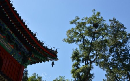香山公园美景