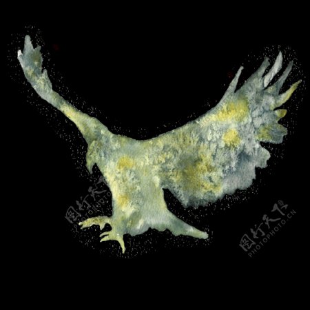 水彩老鹰透明装饰图案