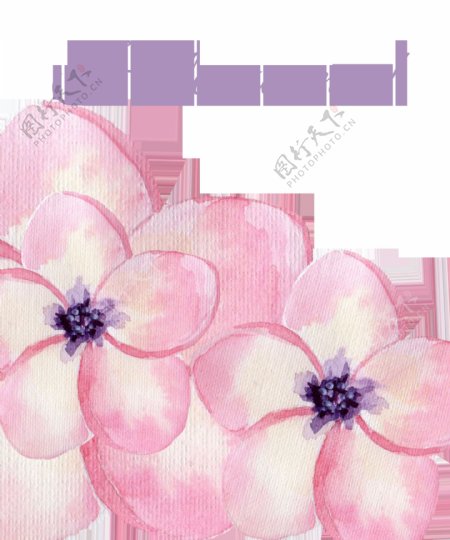 粉色樱花透明装饰图案