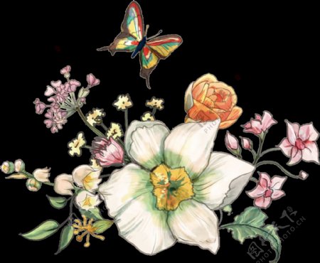 蝴蝶花卉透明装饰图案