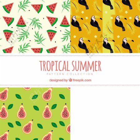 用水果和巨嘴鸟夏天图案的包装