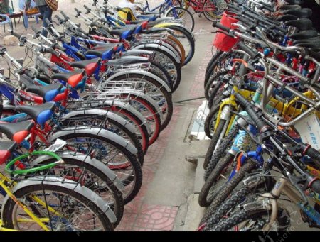 中国将对新生产自行车实行编码管理