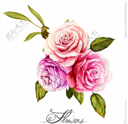 手绘彩色玫瑰花束矢量素材