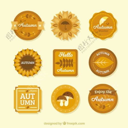 秋季徽章收集温暖的颜色