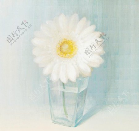 花卉装饰画材质贴图JPG图片