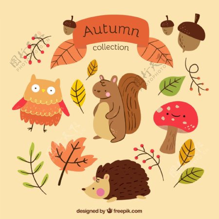 16款可爱秋季叶子和动物矢量图