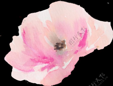 手绘水彩淡雅粉花朵png透明素材