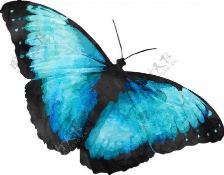 冰蓝蝴蝶卡通透明装饰素材